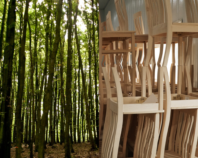 From forest to furniture: trees create beautiful DutchCrafters solid wood furniture